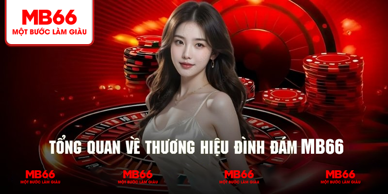 Khám phá về sự hình thành và phát triển tổng quan của thương hiệu MB66